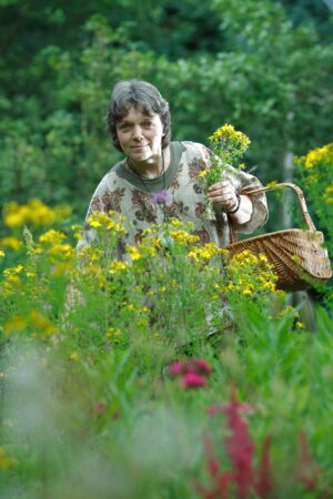 Ulrike Sprick - Kräuterfrau, Lebensberaterin