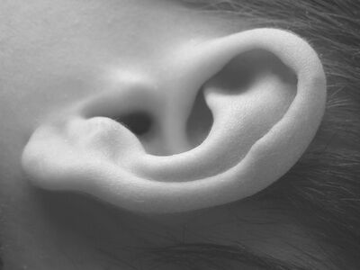 Tinnitusberatung und Hörtherapie Tinnitusberatung und Hörtherapie