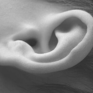 Tinnitusberatung und Hörtherapie