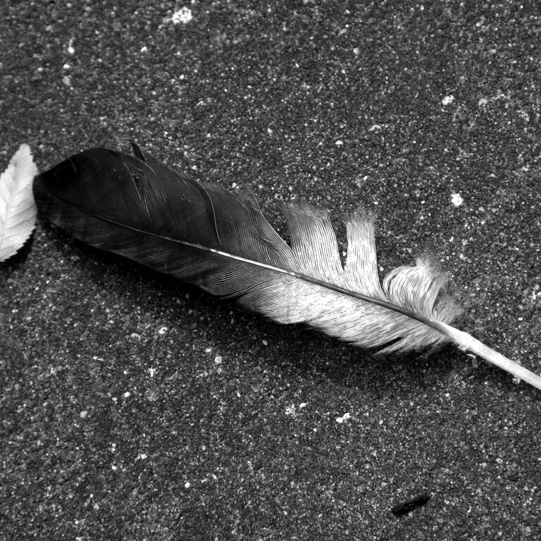 Trauerbegleiter:in. Trauerredner:in